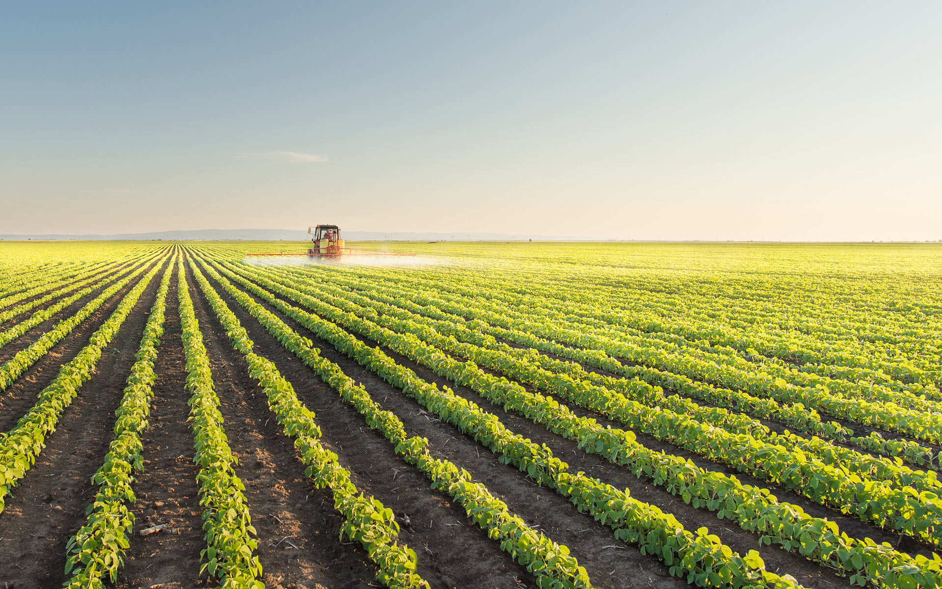 agriculture-b