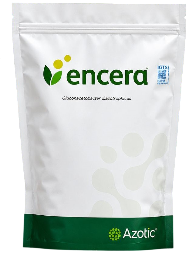 aecd7ddc-2970-445c-854e-e0b7785e39b9-Photoroom ENCERA - Görsel 1
